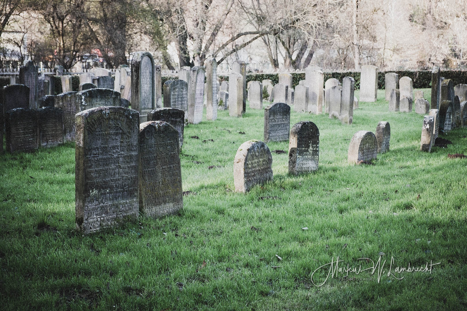 Witzenhausen Jüdischer Friedhof